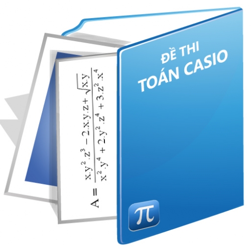 Đề thi giải toán trên máy tính Casio THPT môn Sinh tỉnh Quảng ngãi